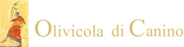 Olivicola di Canino